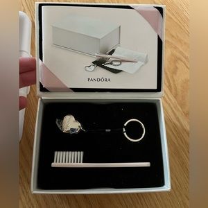 pandora cleaning kit